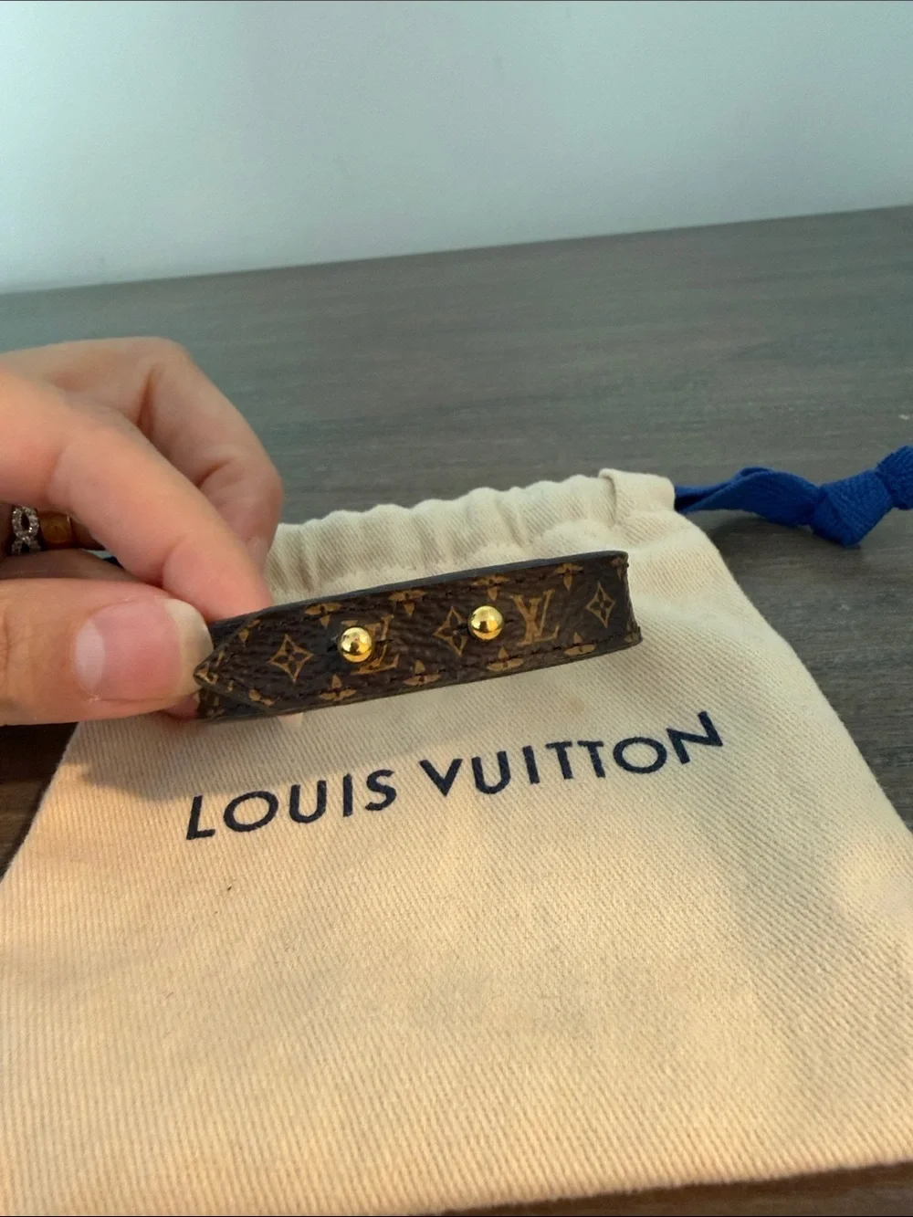 Louis Vuitton designer louis